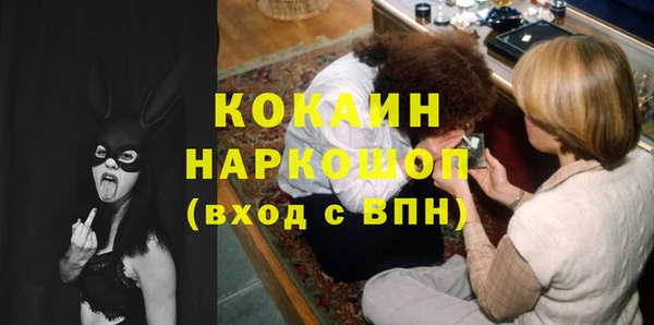 винт Няндома