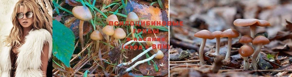винт Няндома