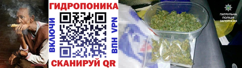 Каннабис Bruce Banner  наркотики  кракен вход  Щучье 